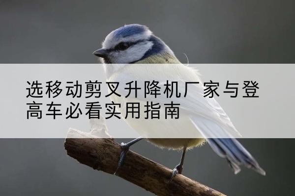 猇亭电动升降机厂家-选移动剪叉升降机厂家与登高车必看实用指南