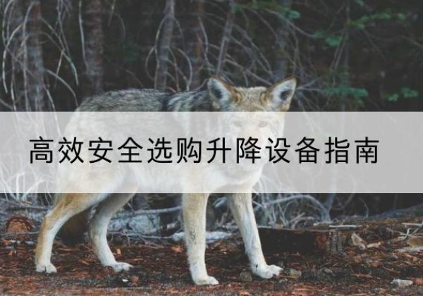 猇亭升降货梯厂家推荐-*安全选购升降设备指南