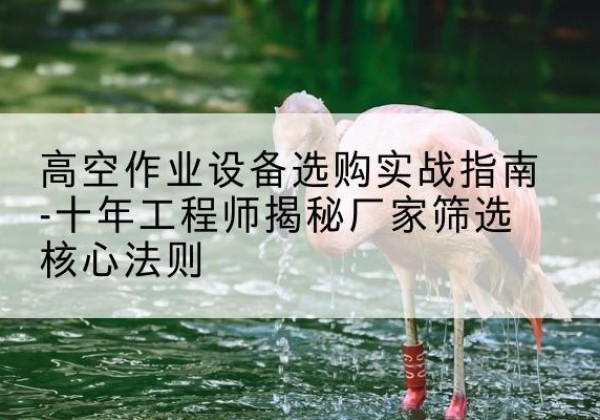 猇亭剪叉式升降机厂家-高空作业设备选购实战指南-十年工程师揭秘厂家筛选核心法则